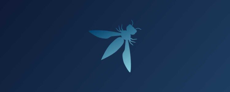 OWASP Top Ten 2025: Key Security Risks for APIs and Applications