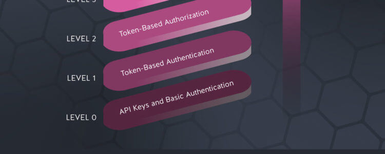 Introducing The API Security Maturity Model