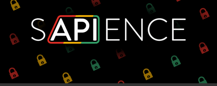 review of sapience API security auditing