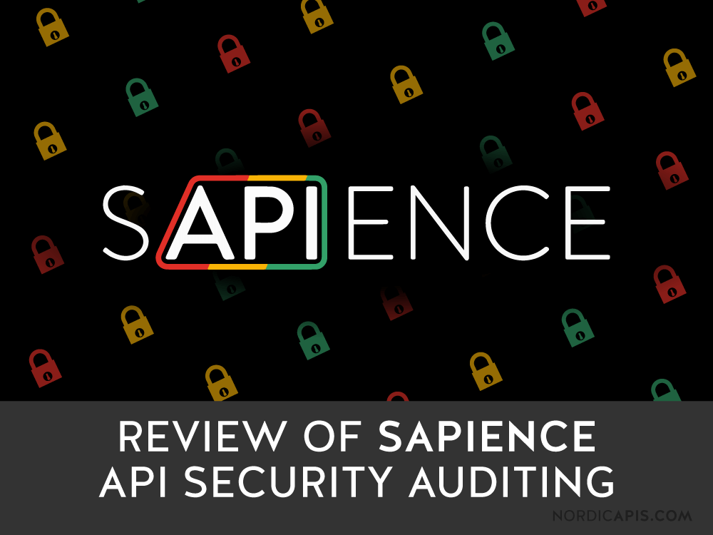 review of sapience API security auditing