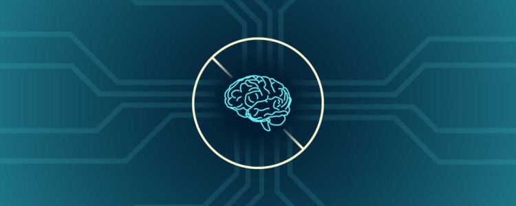 The Implications of the AI Crawling Ban