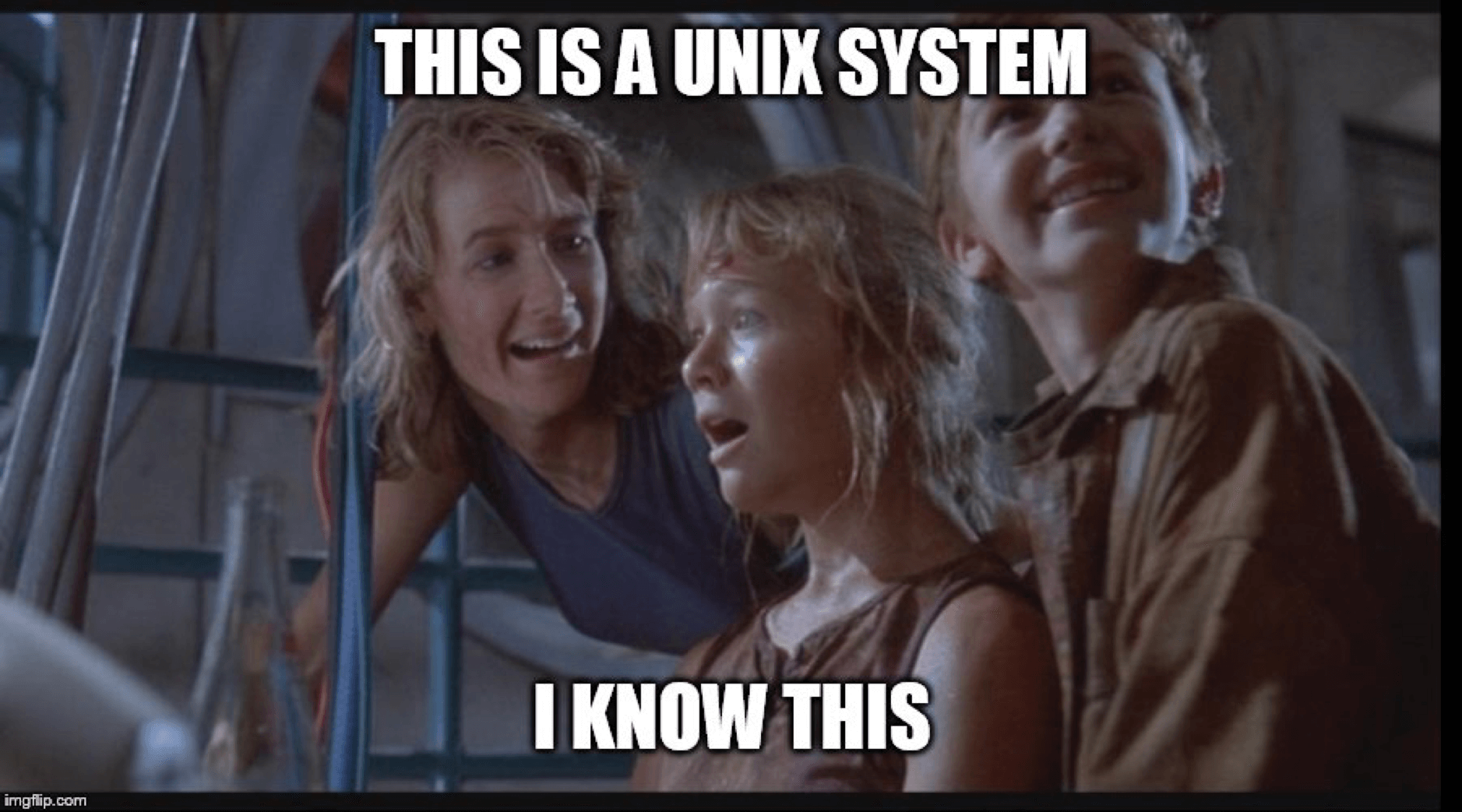 This-is-a-Unix-system-I-know-this