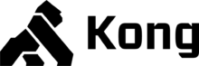 New Kong Logo 2026